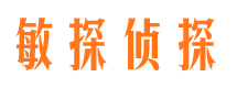 白碱滩侦探公司